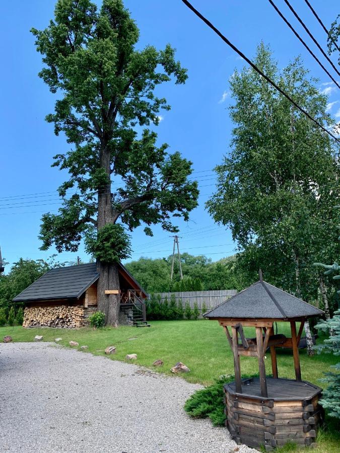 AndrychówGniazdko Pod Lipa公寓 外观 照片